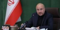 قالیباف درگذشت امین تارخ را تسلیت گفت