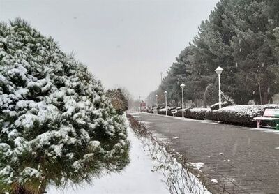 بارش برف و باران در ۱۱ استان​
