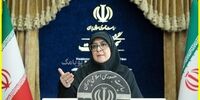 مهاجرانی: دولت اعتراضات را به رسمیت می شناسد/ فریاد ناشی از درد است