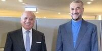 جزئیات مهم از توافق امیرعبداللهیان و فواد حسین درباره آزادی پول های ایران