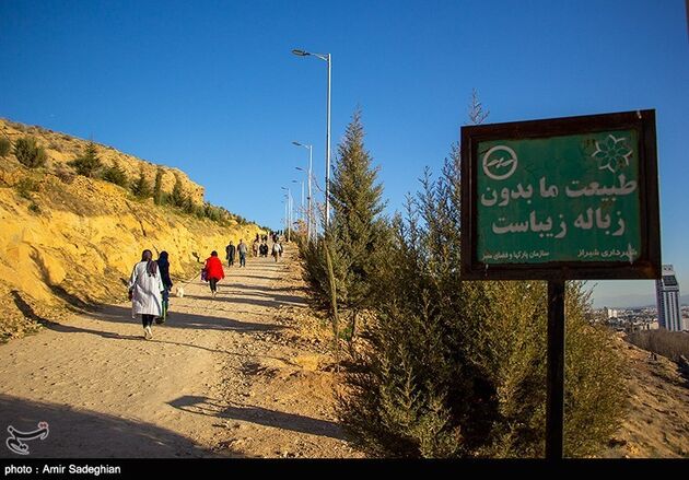 پیاده روی شیراز