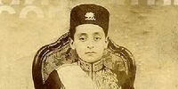 جشن تولد ناصرالدین در حرمسرا