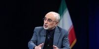 واکنش صالحی به تاسیس سازمان دیپلماسی اقتصادی/ اوضاع بدتر می شود!
