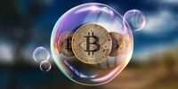 جنون گل لاله در قیمت بیت کوین
