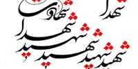 فیش حقوقی متفاوت یک شهید + عکس