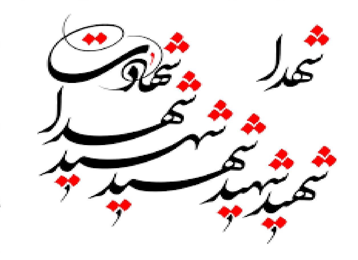 فیش حقوقی متفاوت یک شهید + عکس