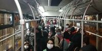 کاهش زمان خدمات‌دهی اتوبوس  صدای مسافران و رانندگان اتوبوس را درآورد
