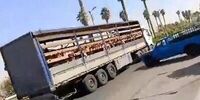 برکناری مدیر مدرسه جهرم در پی جابه‌جایی دانش‌آموزان با کامیون 
