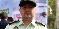 جزئیات دستگیری عامل سرقت از یک موزه از زبان پلیس