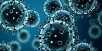 ۱۰ نشانه مهم عفونت ویروسی که باید بدانید