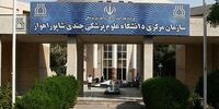  مسعود پزشکیان منجی می‌شود؟/ توصیه مهم به رییس‌جمهور منتخب: نظام سلامت را از دست سیاست نجات بده؛  دانشگاه‌های علوم پزشکی را از امنیتی بودن!