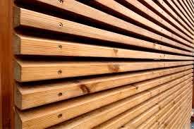 رایزنی مازند چوب آریا برای صادرات چوب ترمو