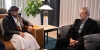 دیدار لاریجانی با سخنگوی انصارالله یمن + عکس