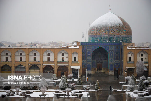 61540549_morteza-zanganeh-1616
