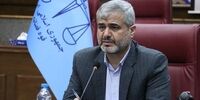 مرجع حل اختلاف میان مشتریان و نظام بانکی، دستگاه قضا است.