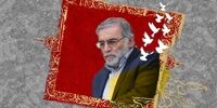 حاج قاسم خطاب به شهید فخری زاده: من نوکر شما هستم، من را شفاعت کن