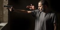«شب، داخلی، دیوار» قاچاق شد