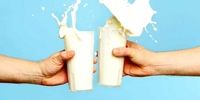 عوارض زیاده روی در مصرف شیر را جدی بگیرید