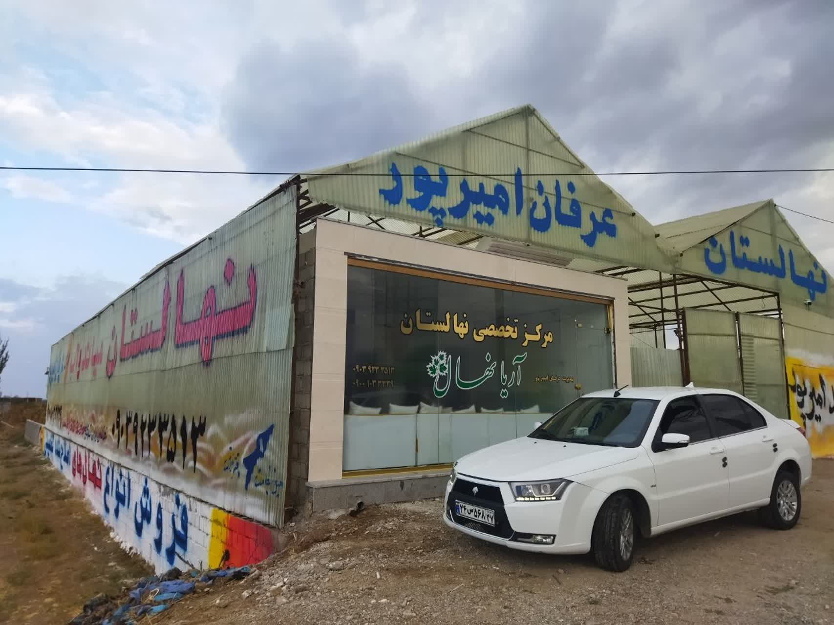 حراج انواع نهال های پیوندی و اصلاح شده نصف قیمت پارسال