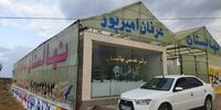 حراج انواع نهال های پیوندی و اصلاح شده نصف قیمت پارسال