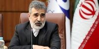خبر مهم کمالوندی درباره فعالیت بازرسان آژانس در ایران 