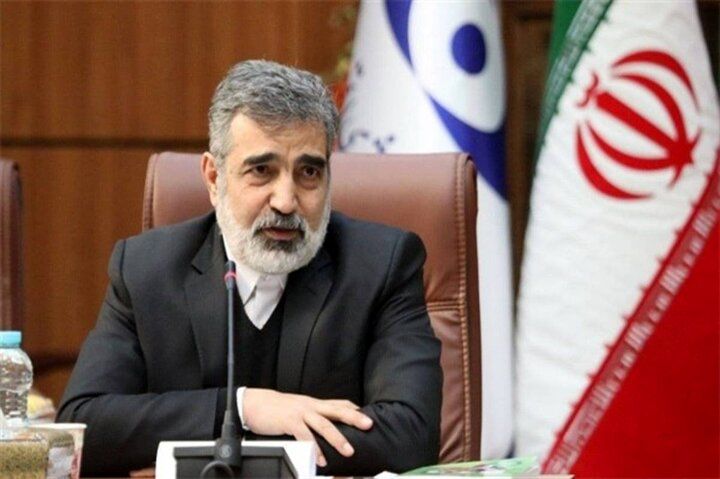 خبر مهم کمالوندی درباره فعالیت بازرسان آژانس در ایران