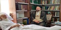 سیدحسن خمینی به عیادت آیت الله نوری همدانی رفت