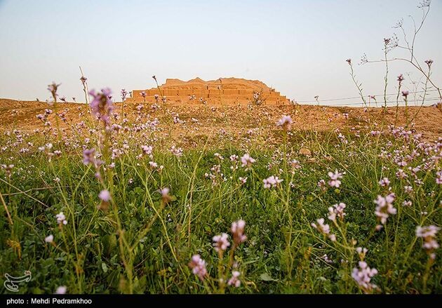 image13