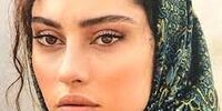 ترلان پروانه دستگیر شد؟ + عکس 