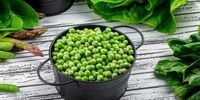 این رژیم غذایی سه سوته لاغرتان می کند!