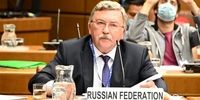 واکنش اولیانوف به توافق ایران و آژانس