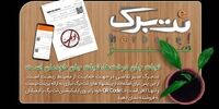 اقدام مثبت نت برگ برای حفظ محیط زیست