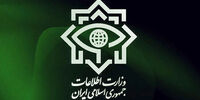 جاسوس دولتی به دام وزارت اطلاعات افتاد /جزئیات بازداشت «آقای الف» توسط نیروهای امنیتی
