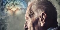 هشدار؛ این چاشنی پرطرفدار، قاتل حافظه است