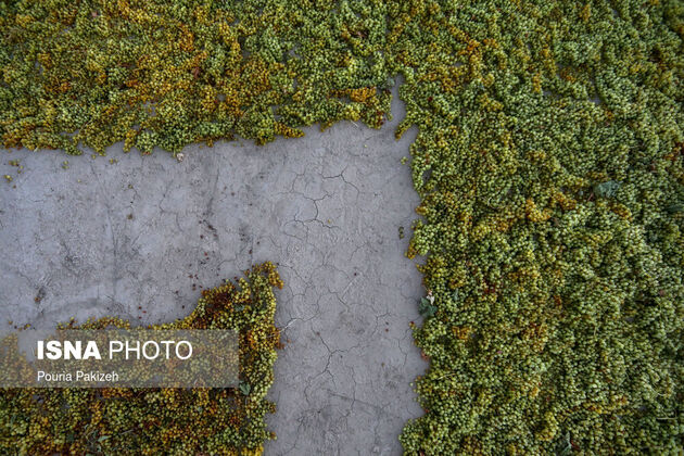 62030512_DJI_0100
