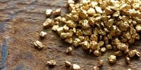 رشد 5.5 دلاری قیمت طلا در بازار جهانی