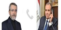 گفت‌وگوی باقری کنی با وزیر امور خارجه مصر درباره تحولات منطقه