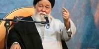 جریانی که در خیابان هستند یا به دنبال پناهندگی هستند و یا قصد بهره‌برداری‌های انتخاباتی دارند