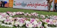 چه کسی پشت پرده پتروشیمی میانکاله است؟/ ابربدهکاری با هویت‌های متفاوت!
