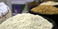 خبر خوش درباره قیمت برنج/ارزانی در راه است/علت گرانی برنج چه بود؟