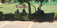 دومین بوستان جنوب پایتخت هم پشت حصار رفت 