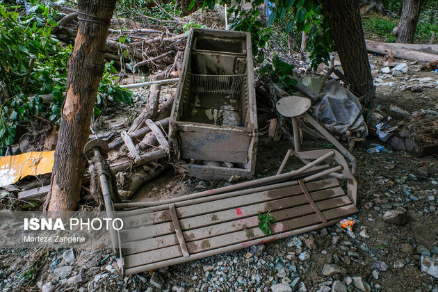 62335713_zangene-1