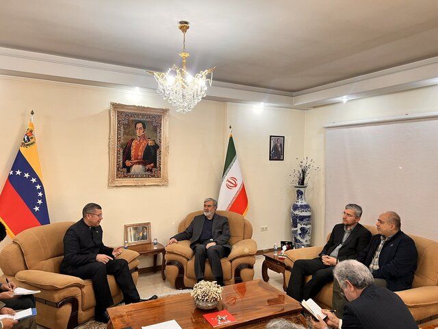 جزئیاتی از دیدار کمیسیون امنیت ملی با سفیر ونزوئلا/ آمریکا به دنبال مقابله با ملت‌های آزاده و مبارز است

