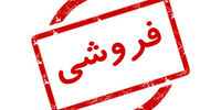 از ماجرای جنین‌های فریز شده تا آگهی فروش/ شرط بازدید: هزار میلیارد در حساب