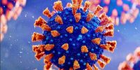 رونمایی از نخستین واکسن استنشاقی کرونا +فیم