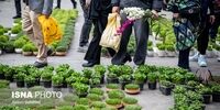 تصاویر| حال و هوای متفاوت بازار تجریش در ساعات آخر سال 1404