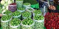 گوجه سبز کیلویی 2  میلیون تومان شد!
