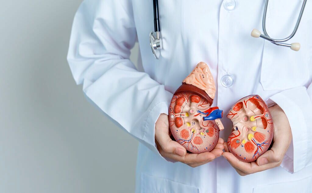 دو بیماری خاص که کلیه‌ها را از کار می‌اندازد