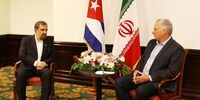 دیدار رضایی با رئیس جمهور کوبا/می‌توانیم با کوبا یک اتحادیه تجاری مشترک ایجاد کنیم