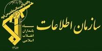 بازداشت عنصر ضد امنیتی در قرچک توسط اطلاعات سپاه